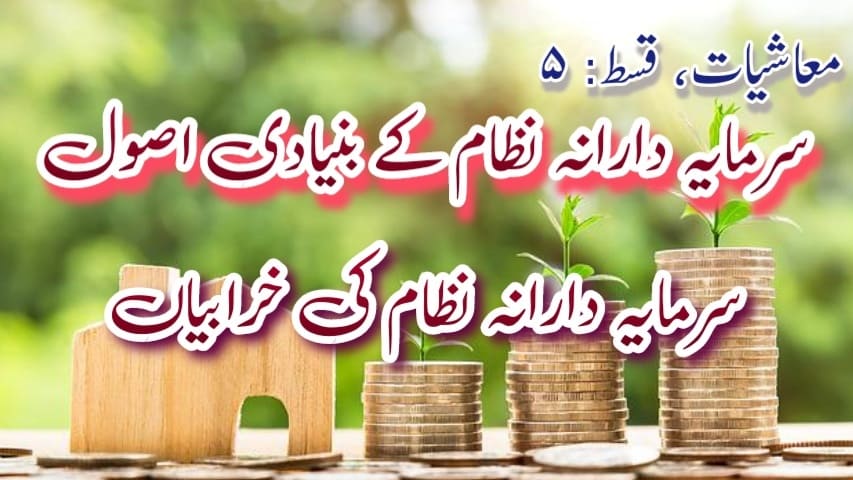 سرمایہ دارانہ نظام کے بنیادی اصول