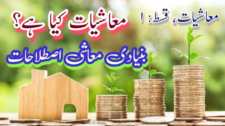 معاشیات کیا ہے